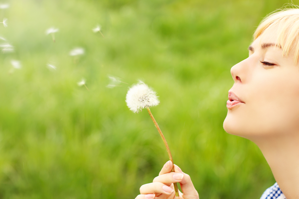 Natural Hayfever Remedies: Herbal and Dietary Solutions