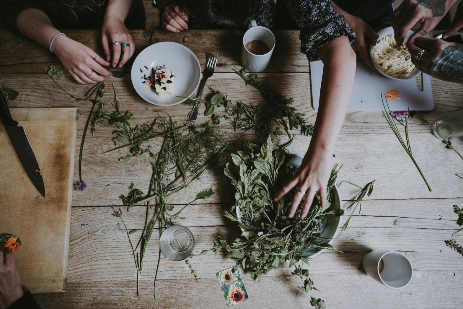 A Living Tradition: The Story of Herbal Medicine