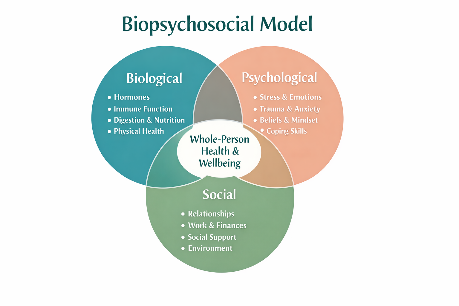 Why the Biopsychosocial Model Matters in Modern Healthcare